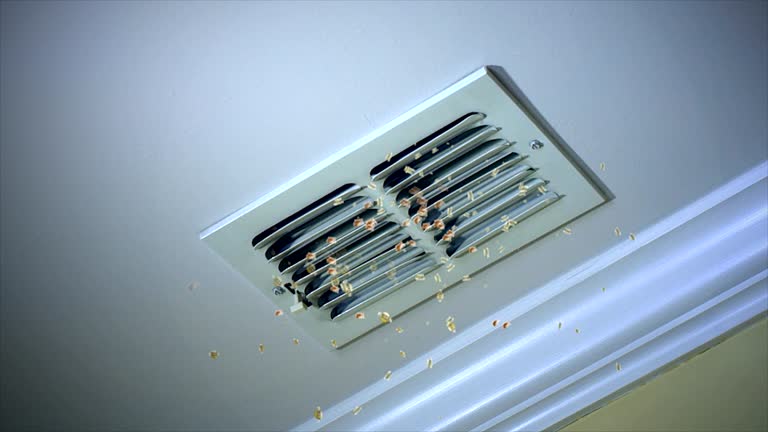 Best Affordable Duct Cleaning Services  in Kingsford, MI