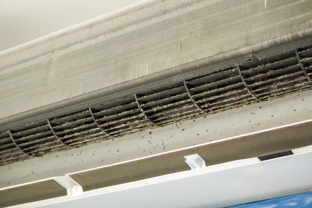 Best Local Air Duct Cleaning Services  in Kingsford, MI